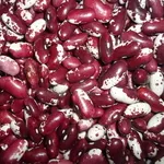 Квасоля в наявності. Продаж квасолі. Купити квасолю.