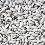 Високоякісна квасоля від виробника.