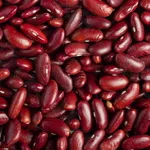 Квасоля на продаж, в асортименті 20+ сортів