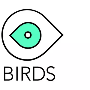 Видео продакшн студия BIRDS - прозводство рекламных роликов