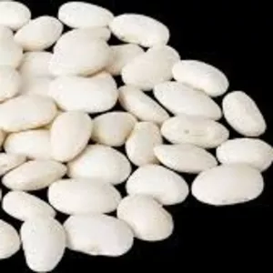 Закуповуємо квасолю по всій Україні з організацією самовивоз