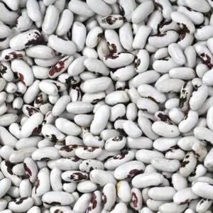 Високоякісна квасоля від виробника.