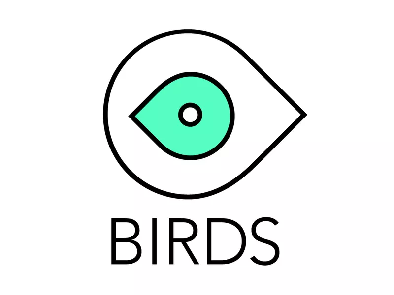 Видео продакшн студия BIRDS - производство рекламных роликов