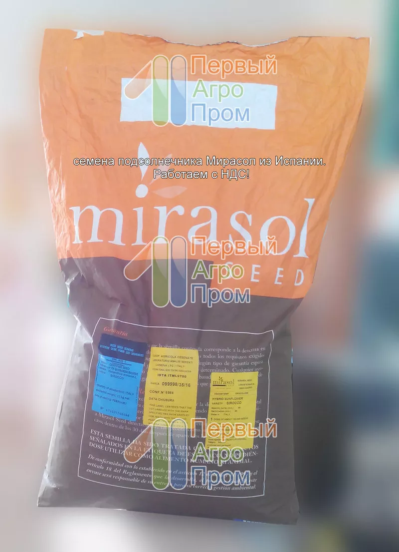Семена подсолнечника для засушливых регионов - Mirasol seed 3