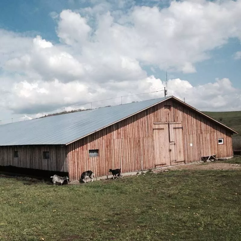 Ферма деревянная,  построенная по европейскому проекту 2