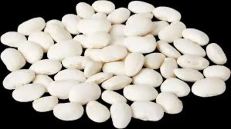 Закуповуємо квасолю по всій Україні з організацією самовивоз